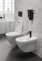 1079-cer-bsb-co_larga_family_bathroom_1_sp1_small,qn6Loq2np2mXrsaOZ6Q.jpg