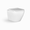 Miska z deską Laveo Desna Rimless VMD_600S