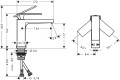 73011670-dt.jpg