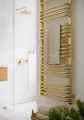 alex_one_1580_500_brass_interior_detail01.jpg