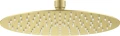 Deante Cascada deszczownica owalna 250mm, kolor złoty szczotkowany NAC_R10K