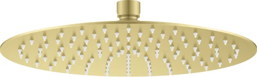 Deante Cascada deszczownica owalna 250mm, kolor złoty szczotkowany NAC_R10K