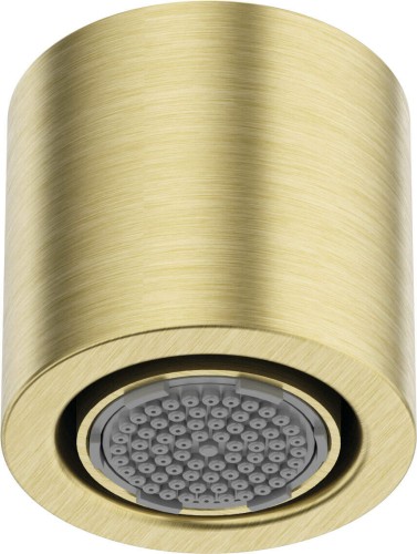 Deante Silia Główka prysznicowa 1-funkcyjna, kolor złoty szczotkowany NQS_R30K