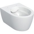 Geberit iCon miska wisząca Rimfree 49 cm, kolor biały 502.380.00.1