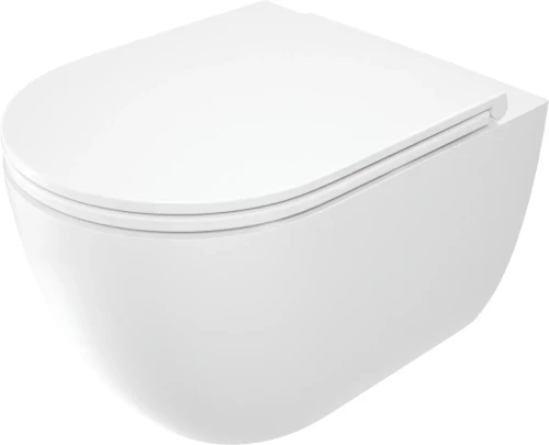 Deante Round miska WC bezrantowa z deską sedesową wolnoopadającą, kolor biały CGRD6ZPW