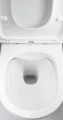 Deante Round miska WC bezrantowa z deską sedesową wolnoopadającą, kolor biały CGRD6ZPW