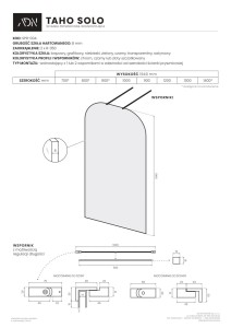 AD Naturalnie Taho Solo ścianka prysznicowa walk-in 100cm szkło grafitowe profil miedź szczotkowana SPR-004GT-100MSZ
