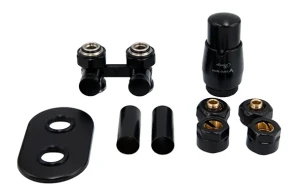 Vario Term Premium All in One zawór kątowy do grzejnika dolnozasilanego typu V z głowicą Prestige, kolor czarny-mat AEPRNYGS0224C/FK