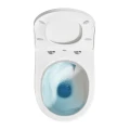Zen-Pro-Oval-Vortex-pic2.jpg