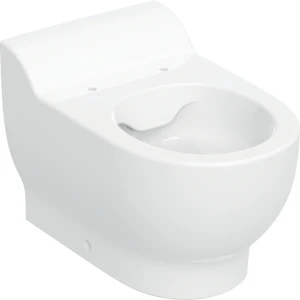 Geberit Bambini Miska WC stojąca dla dzieci 53cm Rimfree, kolor biały 502.966.00.1