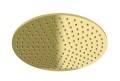 R25EGD.jpg